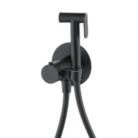 Filarete Roun FL105BL Смеситель для биде встраиваемый