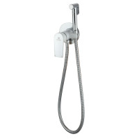 Ganzer 21057-F Смеситель для биде встраиваемый