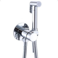 Ganzer 42101 Set Смеситель для биде встраиваемый