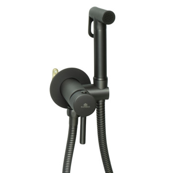 Ganzer 42101-Q Set Смеситель для биде встраиваемый