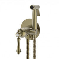 Ganzer 77157-D Смеситель для биде встраиваемый