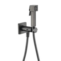 Grocenberg GB005BG Смеситель для биде встраиваемый